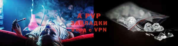 стаф Абаза