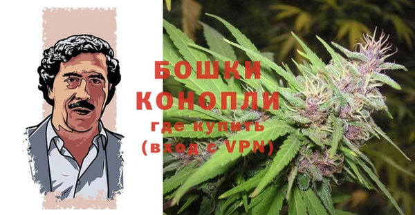 дмт Пересвет