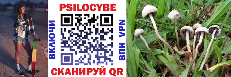 Псилоцибиновые грибы мухоморы Карабаново